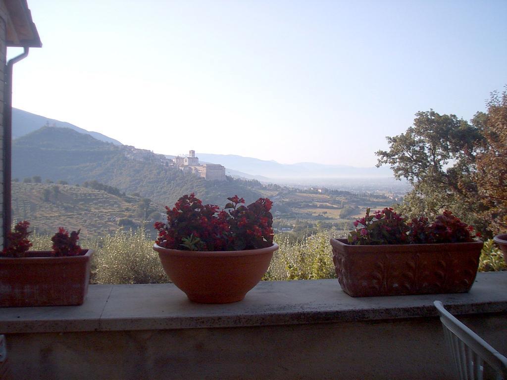 B&B Colle San Francesco Асизи Екстериор снимка