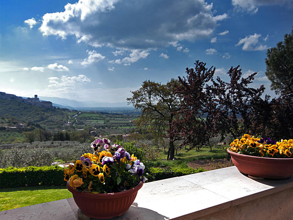 B&B Colle San Francesco Асизи Екстериор снимка