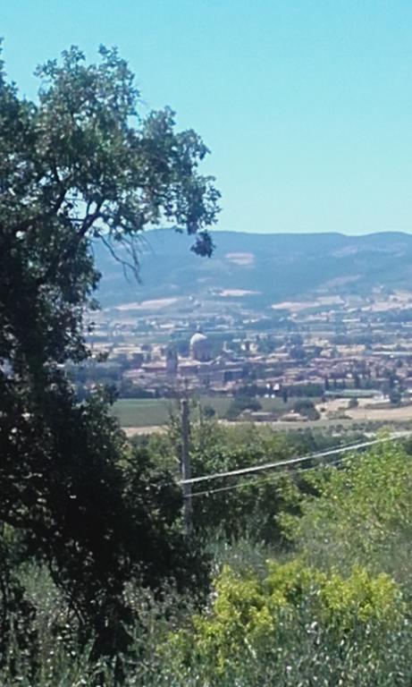 B&B Colle San Francesco Асизи Екстериор снимка