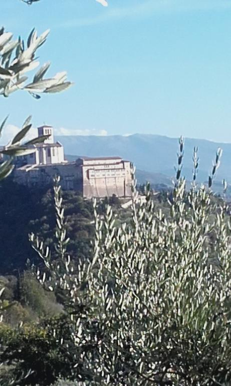 B&B Colle San Francesco Асизи Екстериор снимка