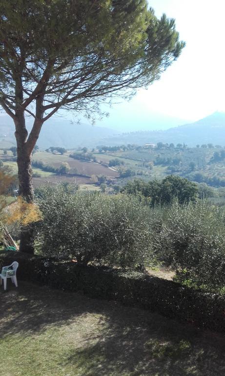B&B Colle San Francesco Асизи Екстериор снимка